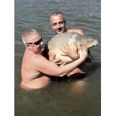 ЗА ТРОФЕЕМ НА УЛЬЯНЫКИ